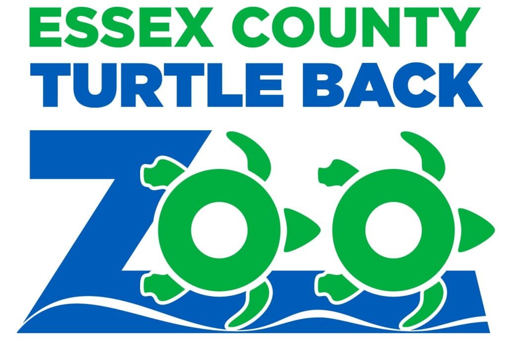 Essex County Turtle Back Zoo Summer Camp Tandem Real Estate Group